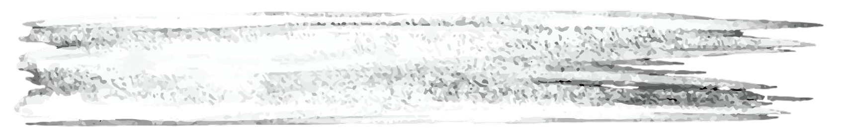 Trait-pinceau-blanc-FT-3-e1753019136707 Trait-pinceau-blanc-FT-3-e1753019136707